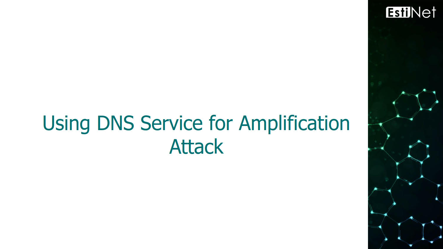 Using DNS Service for Amplification Attack_v1.0_20180726_01